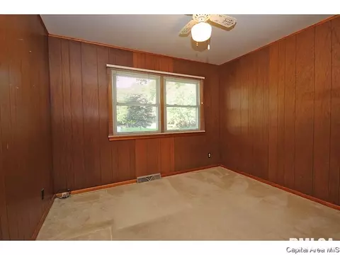 12 Craig Dr, Springfield, IL 62711 photo 20