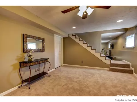 511 S State St, Chatham, IL 62629 photo 19