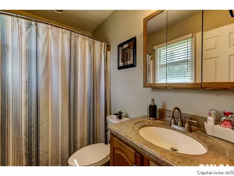 511 S State St, Chatham, IL 62629 photo 15