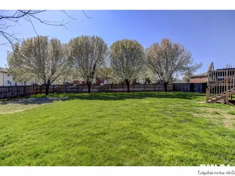 511 S State St, Chatham, IL 62629 photo 26