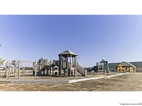 511 S State St, Chatham, IL 62629 photo 30