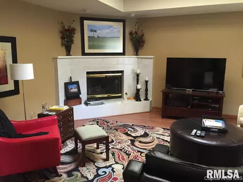 2205 Silver Mill Ct, Springfield, IL 62704 photo 6