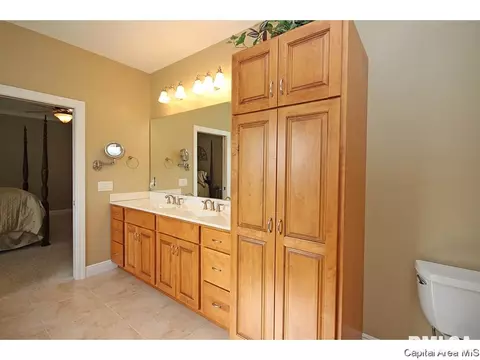 604 Catskill Dr, Springfield, IL 62711 photo 21