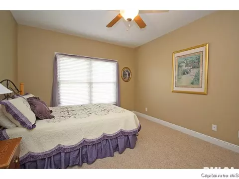 604 Catskill Dr, Springfield, IL 62711 photo 22