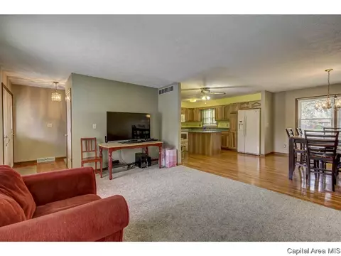 12 Hyde Park, Springfield, IL 62703 photo 10