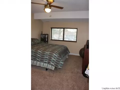 68 Trailridge Ln, Springfield, IL 62704 photo 23