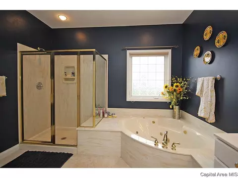 6501 Stonehaven, Springfield, IL 62711 photo 17