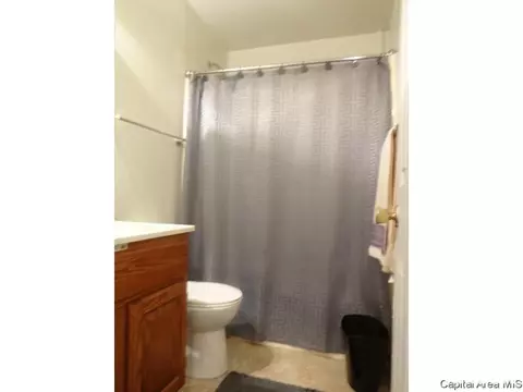 7 Sycamore Row, Springfield, IL 62702 photo 16