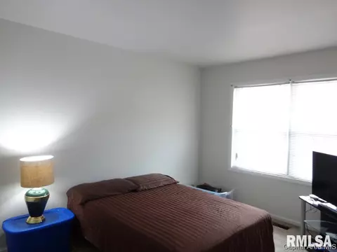 7 Sycamore Row, Springfield, IL 62702 photo 12