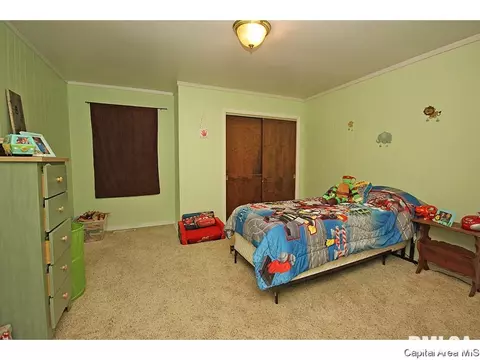 1305 N 4th, Springfield, IL 62702 photo 14