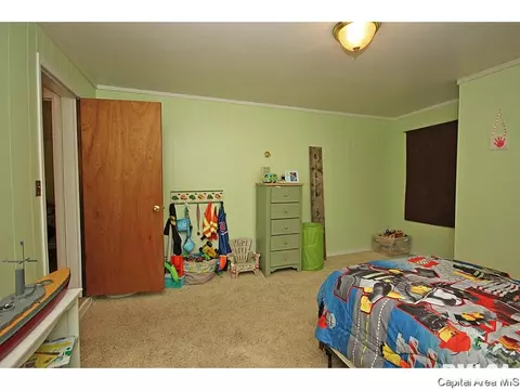 1305 N 4th, Springfield, IL 62702 photo 16
