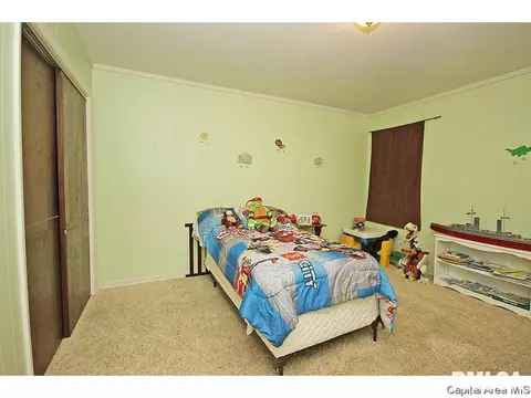 1305 N 4th, Springfield, IL 62702 photo 15