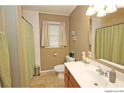 1305 N 4th, Springfield, IL 62702 photo 21