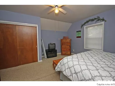 1305 N 4th, Springfield, IL 62702 photo 19
