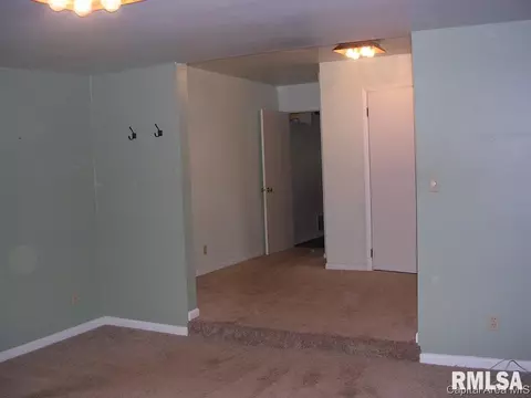 402 E Old 36, Alexander, IL 62601 photo 8