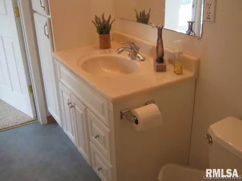 4405 Clearwater Ln, Springfield, IL 62703 photo 17