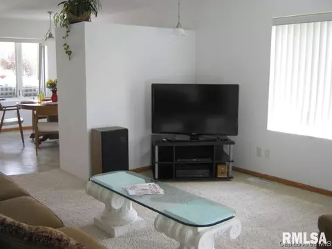 4405 Clearwater Ln, Springfield, IL 62703 photo 4