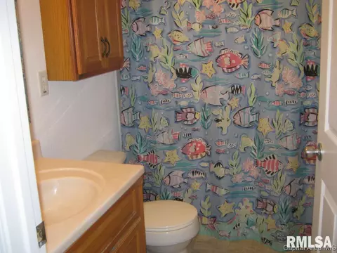 4405 Clearwater Ln, Springfield, IL 62703 photo 20