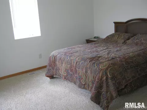 4405 Clearwater Ln, Springfield, IL 62703 photo 14
