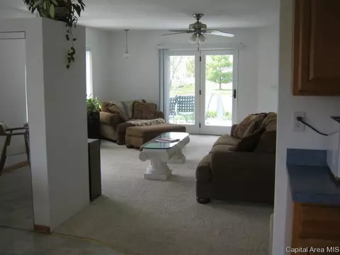 4405 Clearwater Ln, Springfield, IL 62703 photo 3