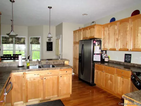 335 Bourbon, Springfield, IL 62707 photo 12