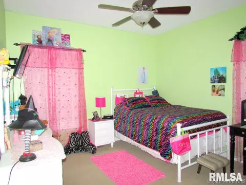 335 Bourbon, Springfield, IL 62707 photo 17