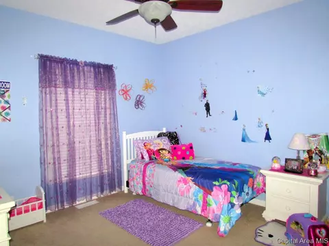 335 Bourbon, Springfield, IL 62707 photo 16