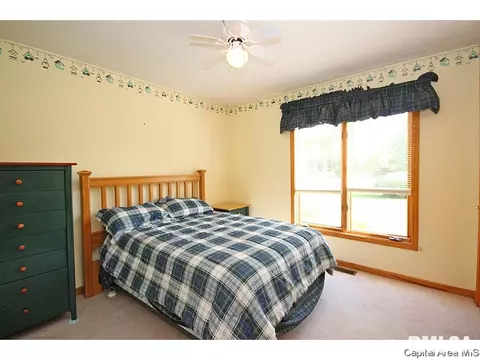 3301 Elderberry, Springfield, IL 62707 photo 17
