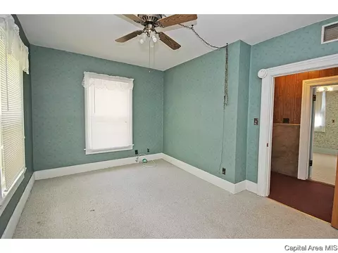 614 W Edwards, Springfield, IL 62704 photo 19