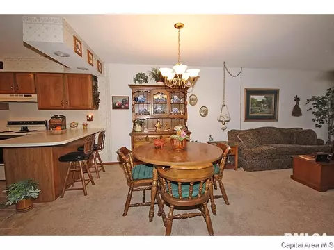5236 Carlton, Springfield, IL 62703 photo 4