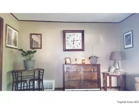 41 Belle Pl, Springfield, IL 62704 photo 5