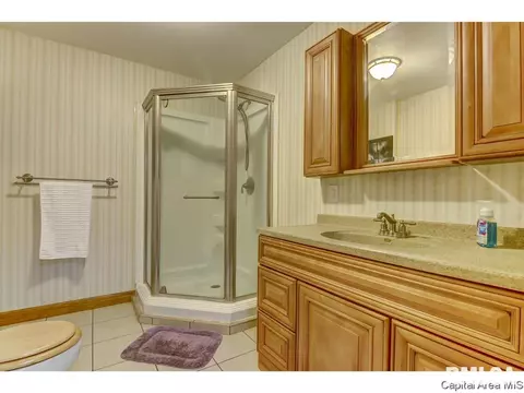 2317 Stokebridge, Springfield, IL 62702 photo 21