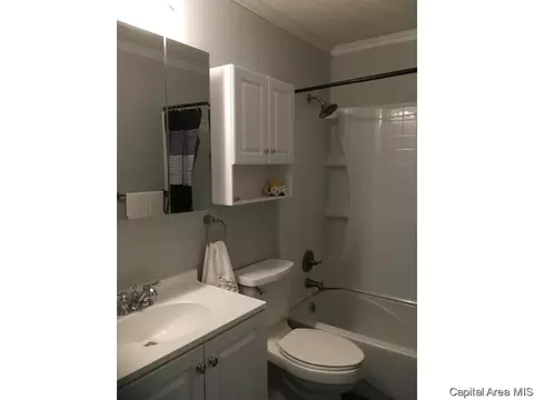 1232 W Maple Ave S, Springfield, IL 62704 photo 15