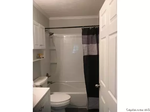 1232 W Maple Ave S, Springfield, IL 62704 photo 14