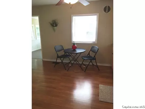 1232 W Maple Ave S, Springfield, IL 62704 photo 8