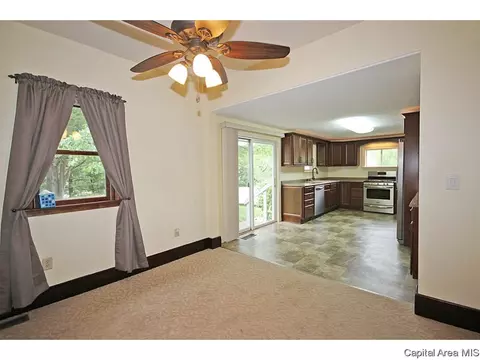 307 W Main, Thayer, IL 62689 photo 12