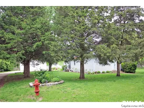 307 W Main, Thayer, IL 62689 photo 28