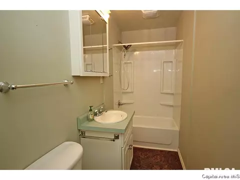 307 W Main, Thayer, IL 62689 photo 24
