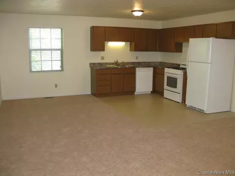 1529 Maureen Ct, Springfield, IL 62702 photo 4