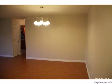 1910 Jeanette Ln #4, Springfield, IL 62702 photo 4