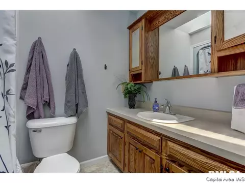 11 Treece Ct, Springfield, IL 62711 photo 21