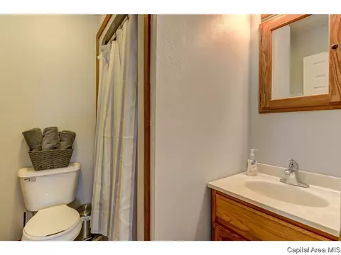 11 Treece Ct, Springfield, IL 62711 photo 25