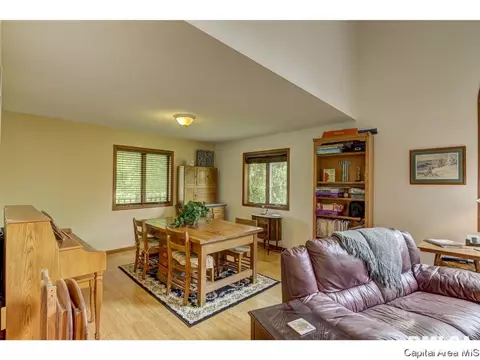 11 Treece Ct, Springfield, IL 62711 photo 18