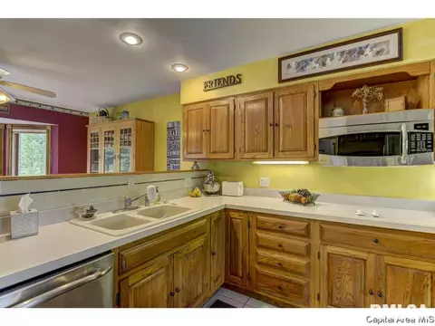 11 Treece Ct, Springfield, IL 62711 photo 9