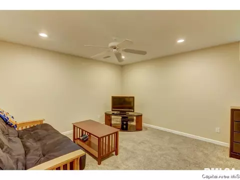 11 Treece Ct, Springfield, IL 62711 photo 26