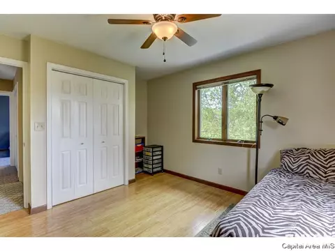 11 Treece Ct, Springfield, IL 62711 photo 22