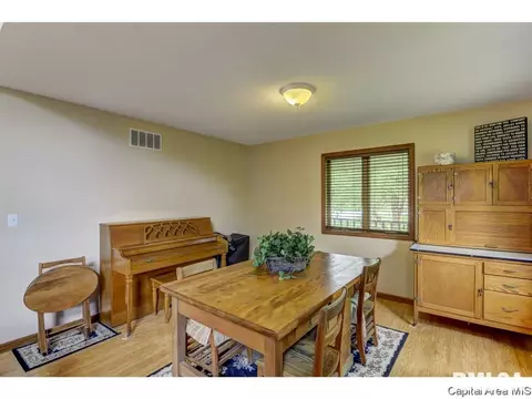 11 Treece Ct, Springfield, IL 62711 photo 19