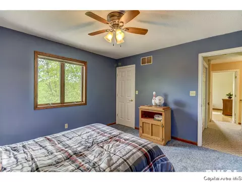 11 Treece Ct, Springfield, IL 62711 photo 23