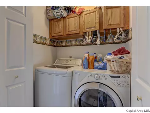 11 Treece Ct, Springfield, IL 62711 photo 24