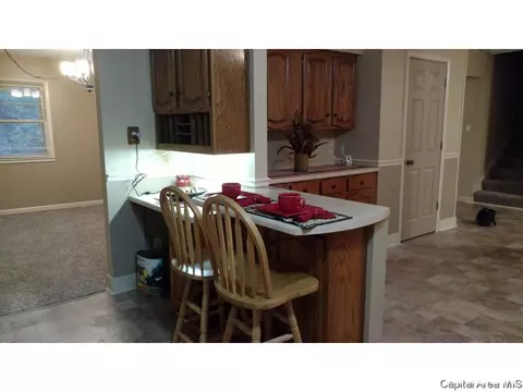 2312 Parkview Dr, Springfield, IL 62704 photo 5